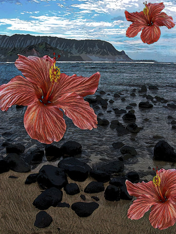 Hibiscus Hawaii
